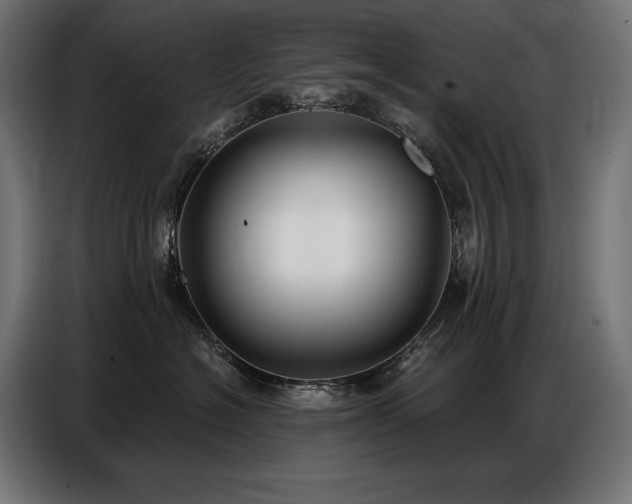 X0000086880574200704161224