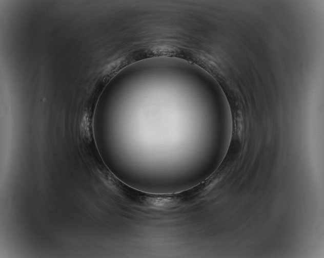 X0000086880575200704161224