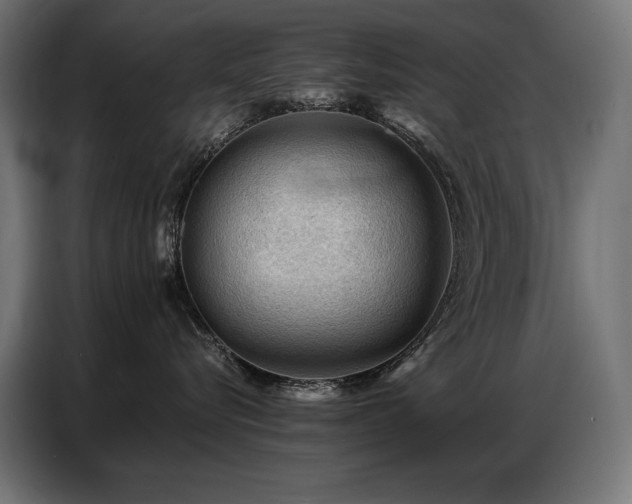 X0000086880576200704161224