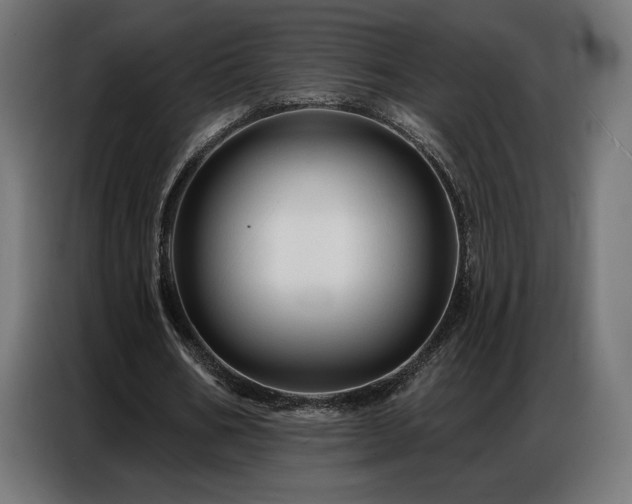 X0000086880578200704161223