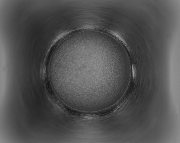 X0000086880579200704161223