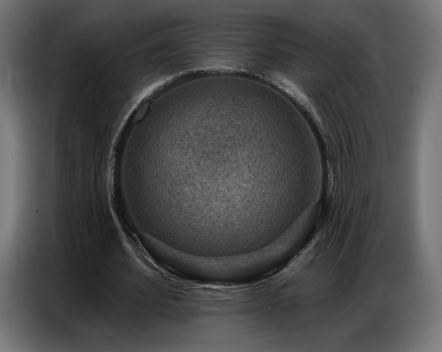 X0000086880580200704161223