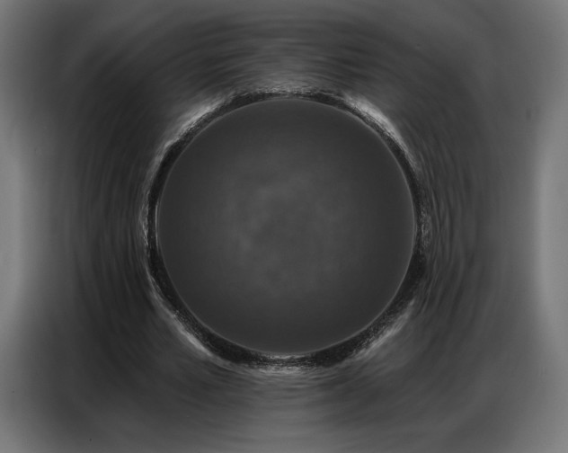 X0000086880581200704161223