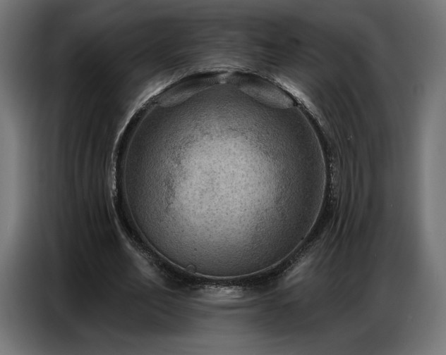 X0000086880582200704161223