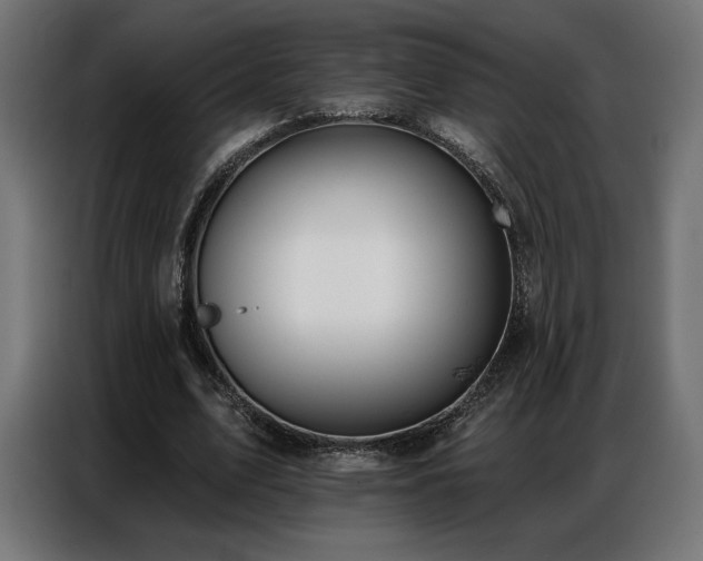 X0000086880583200704161223