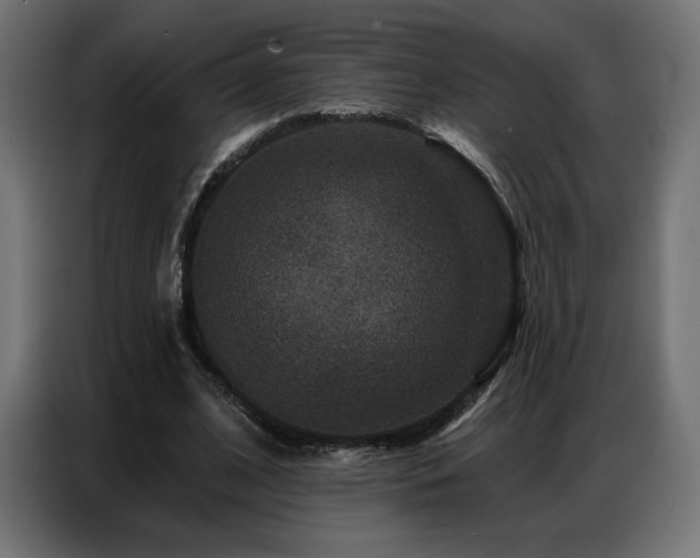 X0000086880584200704161223