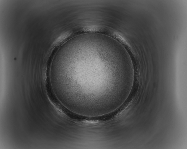 X0000086880586200704161223