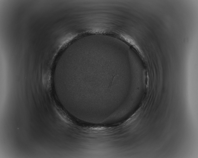 X0000086880588200704161223