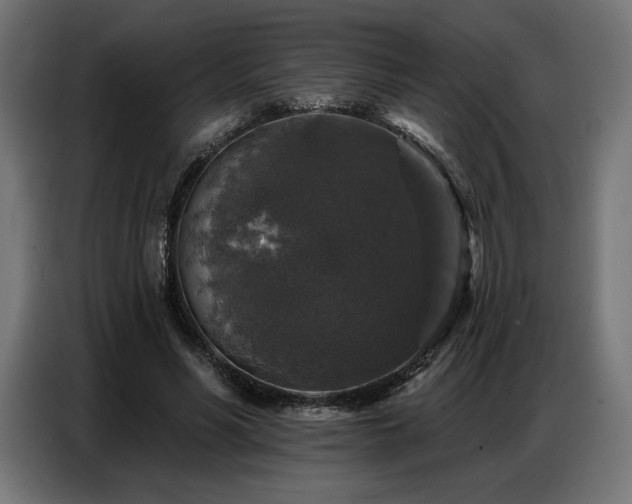 X0000086880590200704161223