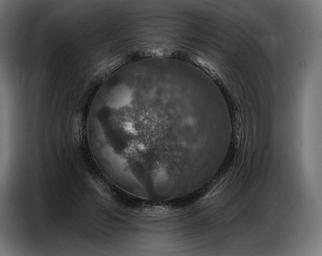 X0000086880594200704161223