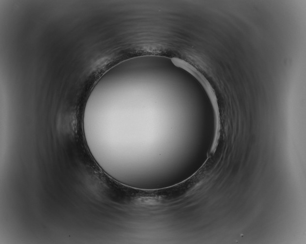 X0000086880595200704161223