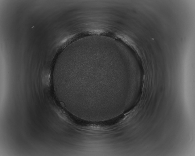 X0000086880596200704161223