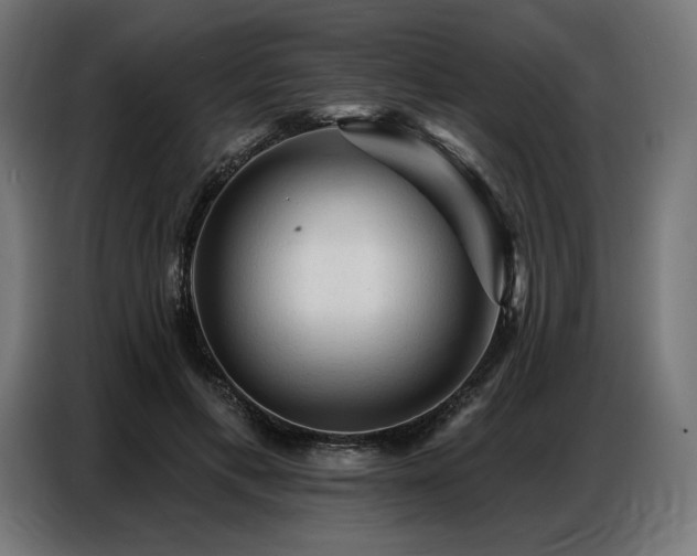 X0000086880597200704161223