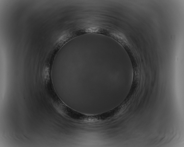 X0000086880598200704161223