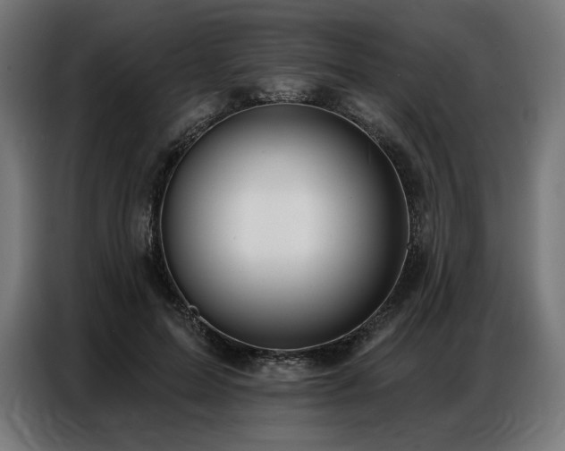 X0000086880599200704161223