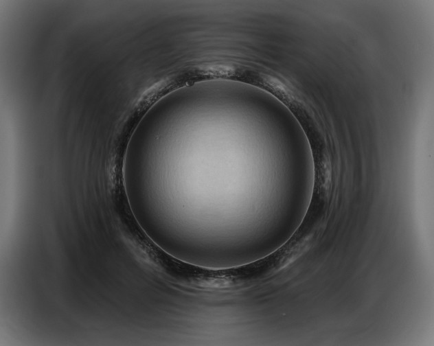 X0000086880600200704161223