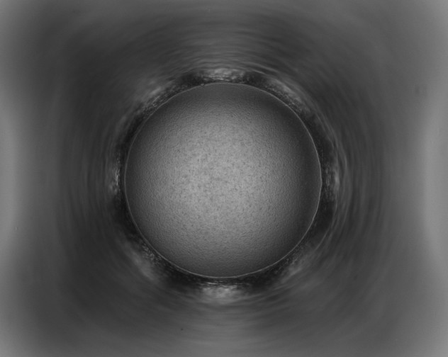 X0000086880602200704161223