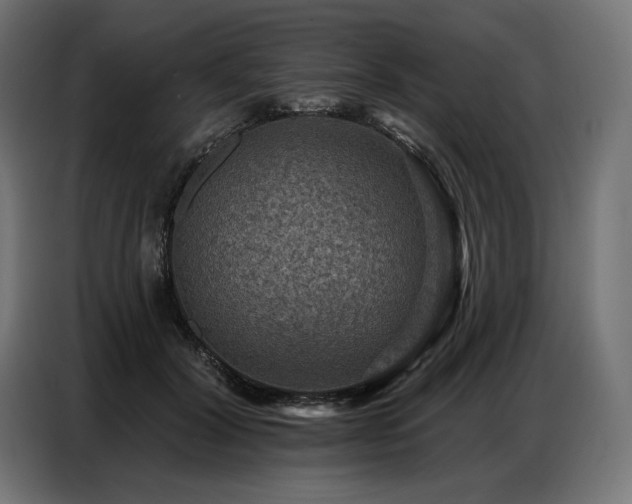 X0000086880604200704161223