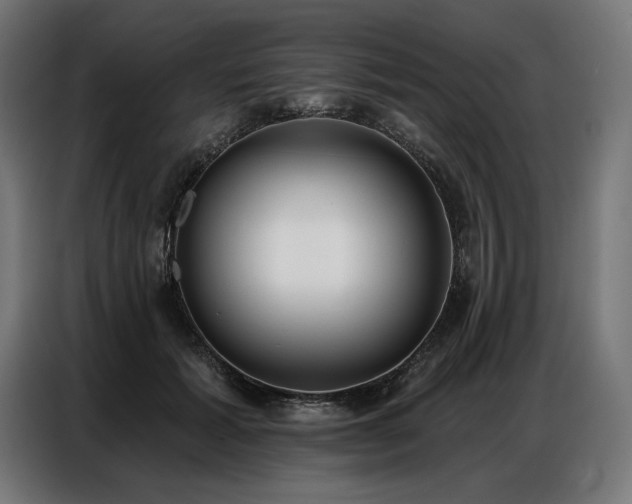 X0000086880605200704161223