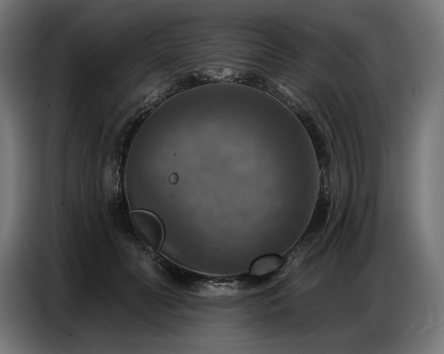 X0000086880606200704161223