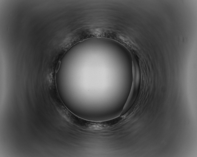 X0000086880611200704161222