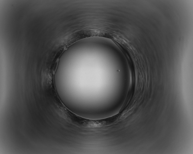 X0000086880613200704161222