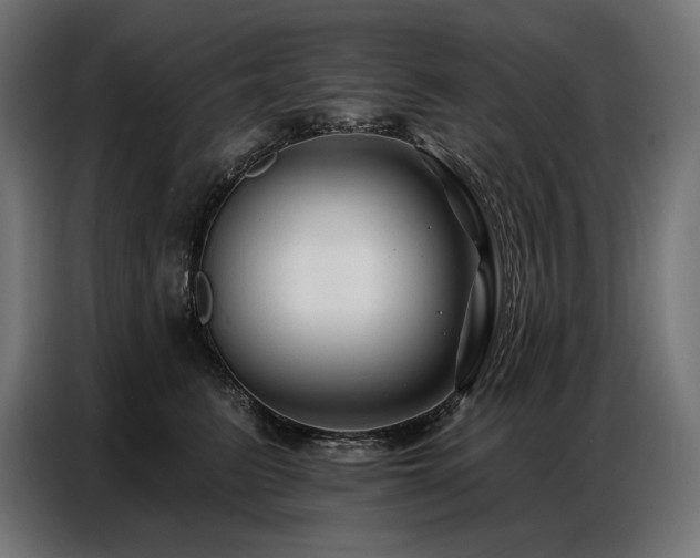 X0000086880615200704161222