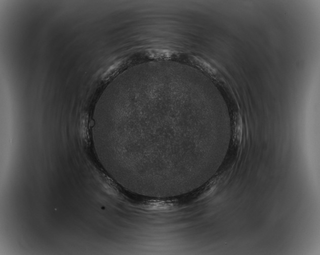 X0000086880616200704161222