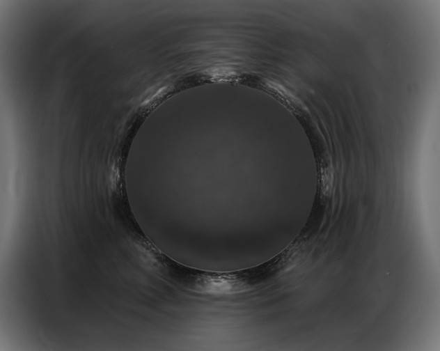 X0000086880618200704161222