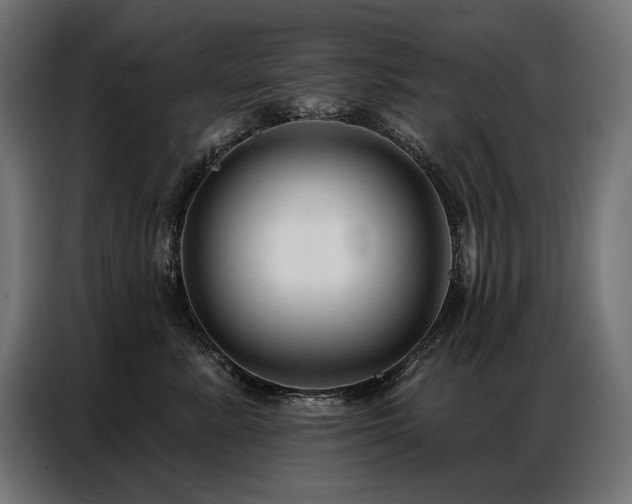 X0000086880619200704161222