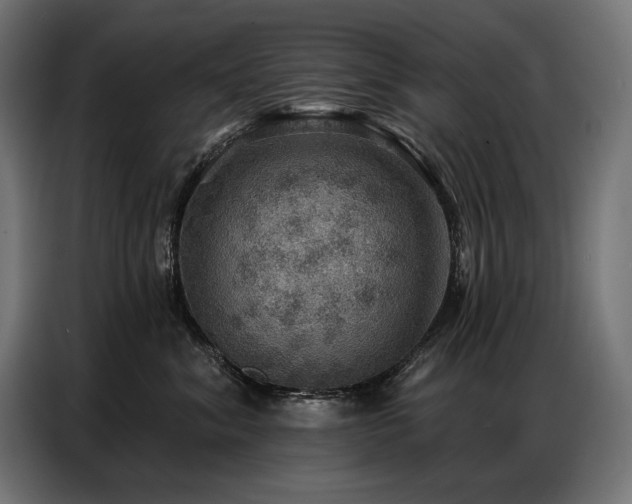 X0000086880620200704161222