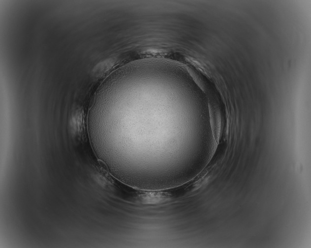 X0000086880623200704161222