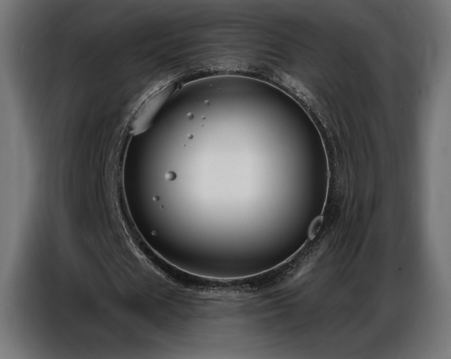 X0000086880625200704161222