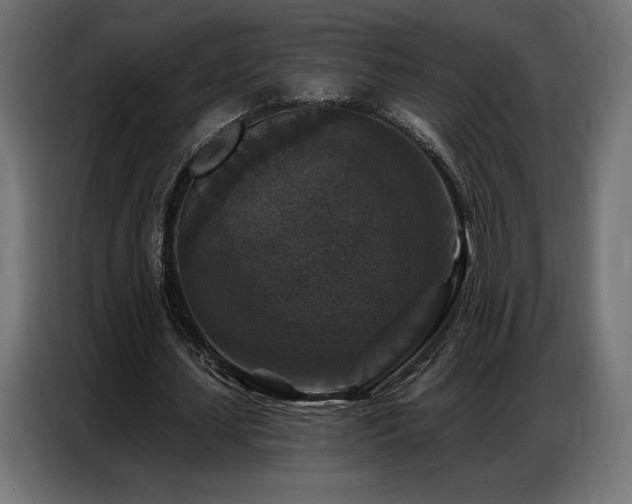 X0000086880627200704161222