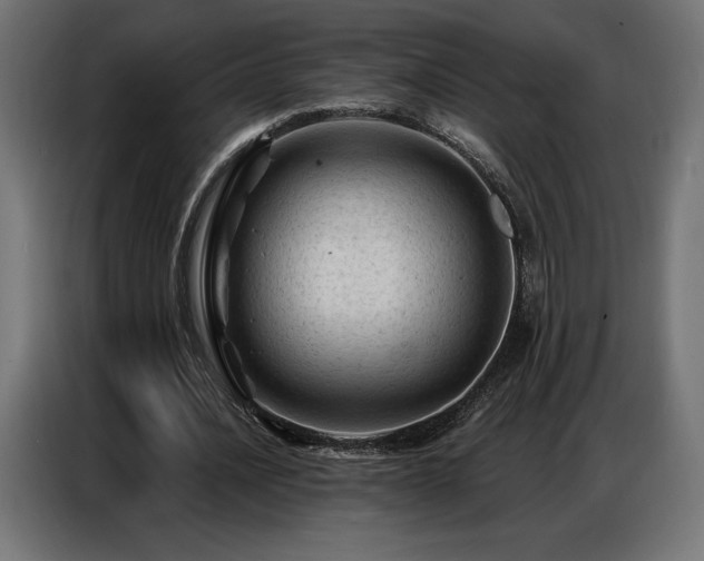 X0000086880628200704161222