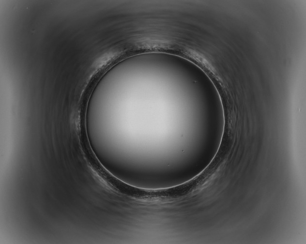 X0000086880629200704161222