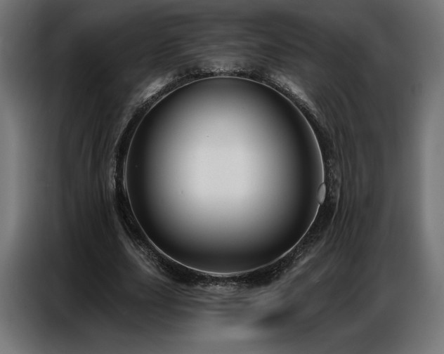 X0000086880631200704161222