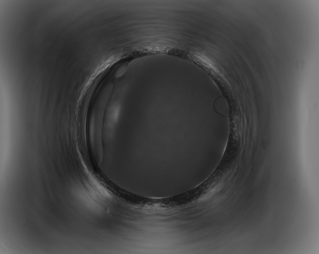 X0000086880634200704161222