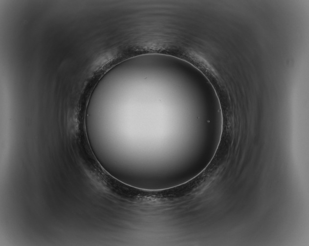 X0000086880635200704161222