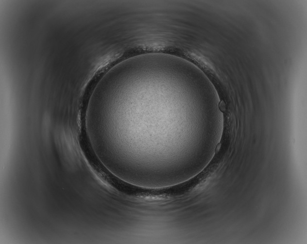 X0000086880638200704161222