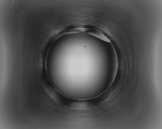 X0000086880639200704161222