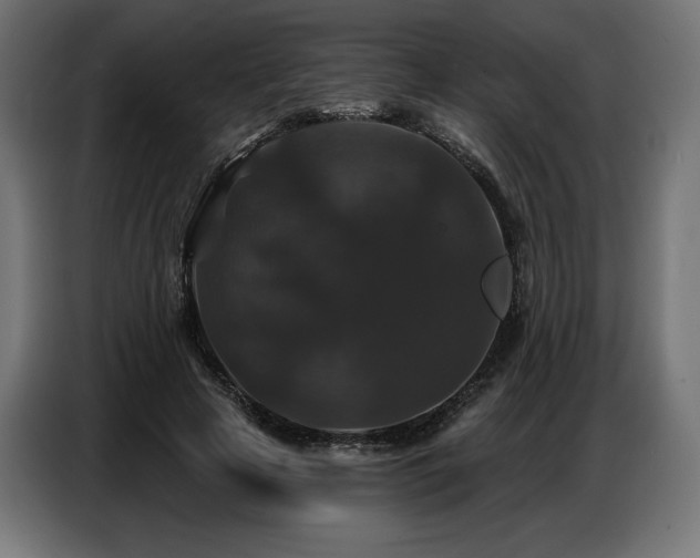 X0000086880641200704161222