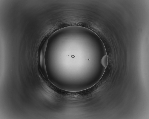 X0000086880642200704161222