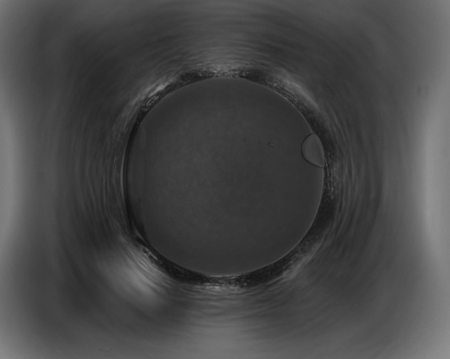 X0000086880644200704161222