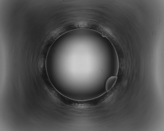 X0000086880645200704161222