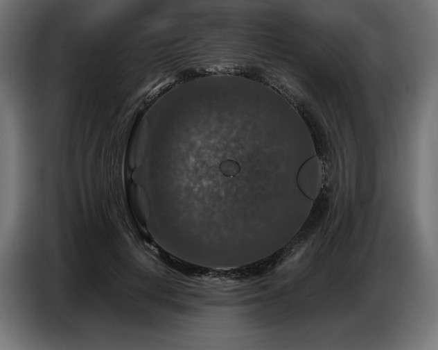 X0000086880648200704161222