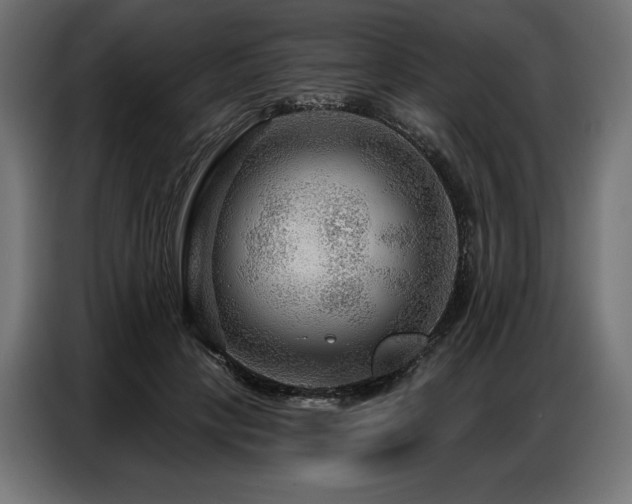 X0000086880649200704161222