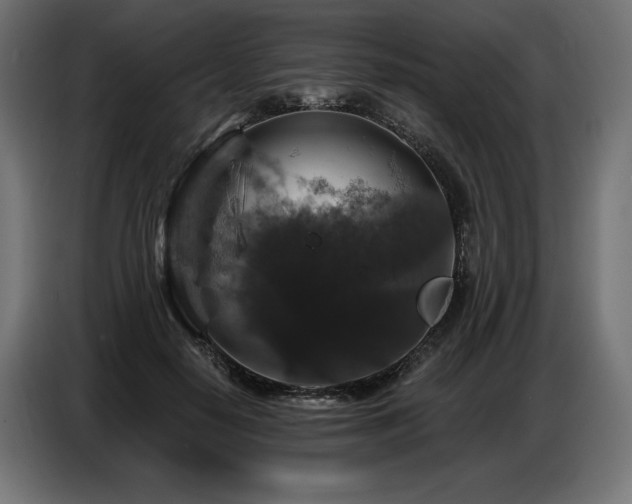 X0000086880650200704161222