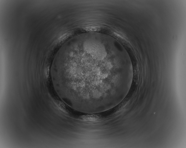 X0000086880652200704161222