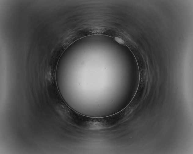 X0000086880655200704161222